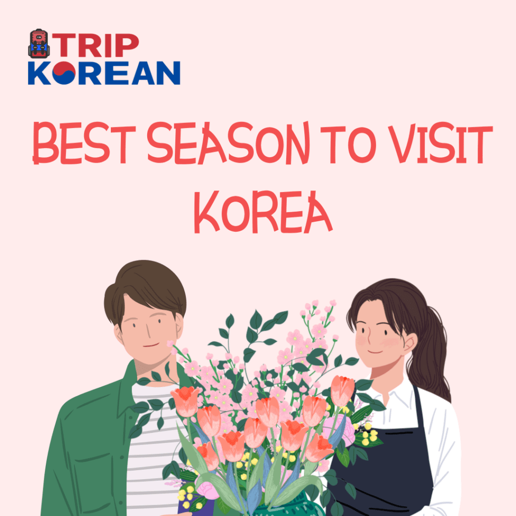 Which season is the best to visit South Korea?